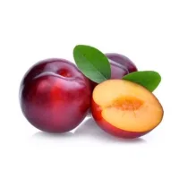 Ciruelo