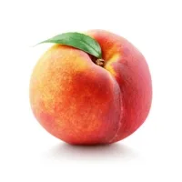 Melocotonero