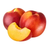 Nectarino